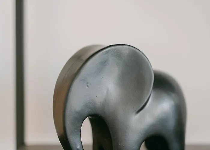 Le Venus Appartement Cannes